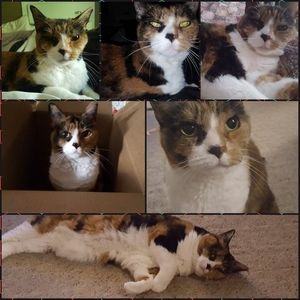 Meet your Posher, Jasmine